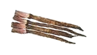 ڂR.jpg