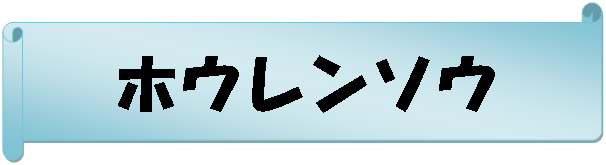 : zE\E
