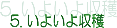 5. 悢n